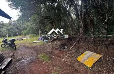 Chácara à venda em piraquara, vila fuck, com 1 quarto, 3000m²