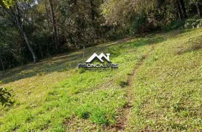 Chácara à venda em piraquara, vila fuck, com 1 quarto, 3000m²