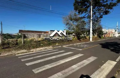 Terreno à venda em piraquara, vila juliana, 472,50m²
