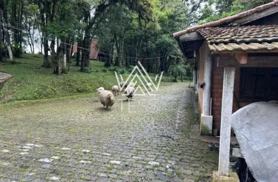 Terreno à venda na rodovia da uva, 6894, parque do embu, colombo por r$ 4.306.000