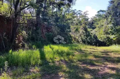 Terreno à venda, 1000m² por r$ 150.000,00 - chácara belvedere - mairiporã/sp