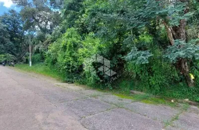 Terreno com 1.675m², á venda por r$ 280.000,00 - sausalito - mairiporã/sp