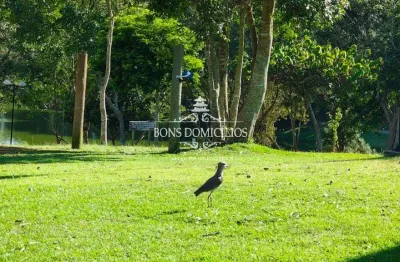 Fuja do caos de sp! encontre o equilíbrio perfeito entre a natureza e conveniência em vargem grande paulista