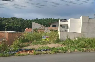 Terreno à venda na rua padre wenceslau szuniewicz, 19, alto da lagoa, irati, 369 m2 por r$ 115.000