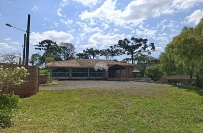 Chácara / sítio com 2 quartos à venda na rua jornalista jose da silva, s/n, jardim califórnia, irati, 420 m2 por r$ 3.200.000
