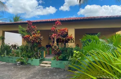 Chácara com 3 dormitórios à venda, 900 m² por r$ 295.000,00 - novo iguapé - iguape/ce