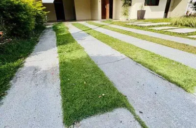 Casa com 5 quartos para alugar na Rua Um, Esplanada Independência, Taubaté
