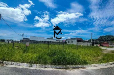 Terreno à venda na Avenida Flavio Jose De Oliveira Florencio, Areao, Taubaté