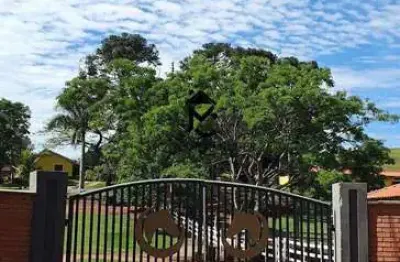 Chácara / sítio com 2 quartos à venda na Estrada Do Porto, Centro, Lagoinha