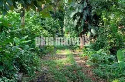 Terreno à venda na Rua Paulo II, 212, Panamby, São Paulo