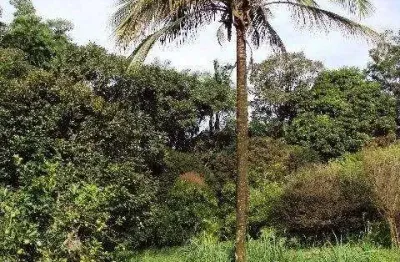 Bairro do poste - potencial para investidor - terreno com 16.000 m²