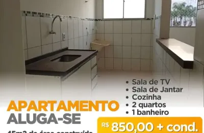 Apartamento para alugar residencial ana célia são josé do rio preto