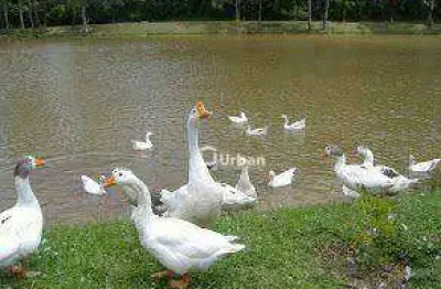 Terreno à venda, 1000 m² por r$ 300.000,00 - colonial village (caucaia do alto) - cotia/sp