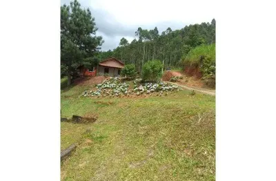 Fazenda com 1 sala à venda na Rodovia Municipal Bnv-532,  Tifa Hein, S/N, Barra São João, Benedito Novo