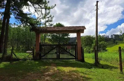 Fazenda com 1 sala à venda na Estrada Geral São João, Barra São João, Benedito Novo