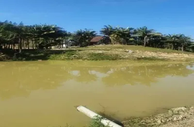 Fazenda à venda na Benedito Novo, Zona Rural, Benedito Novo