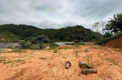 Terreno à venda na Rua Vereador Aldo Valdir Pintarelli, Tamanduá, Ascurra