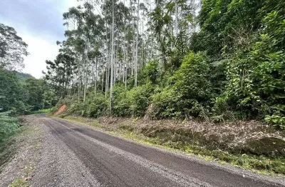 Terreno à venda na Rua Albert Bertram, Santa Maria, Benedito Novo