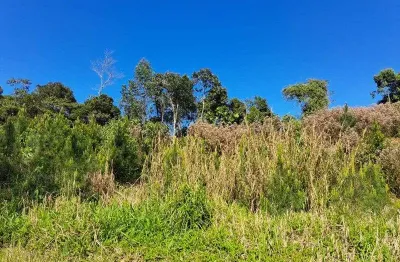 Fazenda à venda na Estrada Geral Ribeirão Preto, Barra São João, Benedito Novo