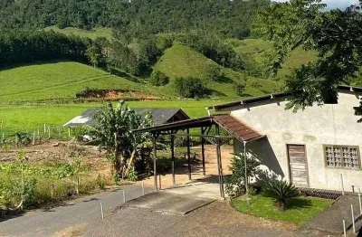 Barracão / Galpão / Depósito para alugar na Br 470, Entrada Ao Lado Da Bottego Del Termai, S/N, Rio Morto, Rodeio