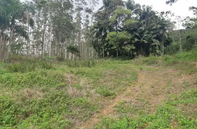 Fazenda à venda no Rio Cunha, Rio dos Cedros 