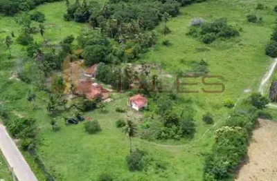 Chácara / sítio com 7 quartos à venda na Rn, 00, Laranjeiras Do Abdias, São José de Mipibu