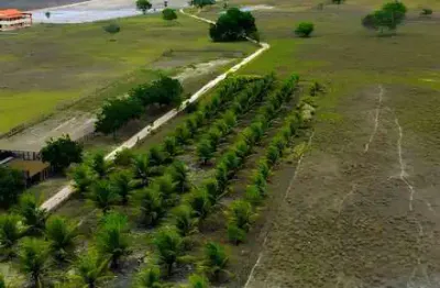 Fazenda à venda na Rn, 00, Centro, Brejinho