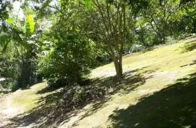 Terreno à venda na Serra da Cantareira, São Paulo 