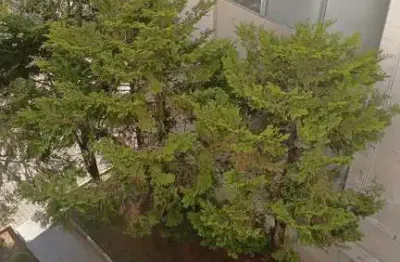 Alugo apto. 2dorms conselheiro moreira de barros, locação apto. 2 dorms próximo ao andorinha