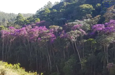 Terreno à venda no Alto Caldeirão, Santa Teresa 