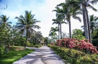 Chácara / sítio à venda no Chapada Grande, Serra 