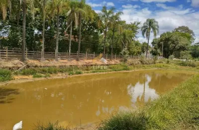 Fazenda à venda na rua 4, 001, centro, capivari, 1500 m2 por r$ 980.000