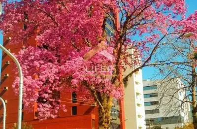 Apartamento com 1 quarto à venda na rua boaventura do amaral, 987, centro, campinas, 58 m2 por r$ 245.000