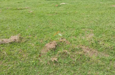 Terreno em condomínio fechado à venda na alameda itajubá, 820, villa lombarda, valinhos por r$ 871.250