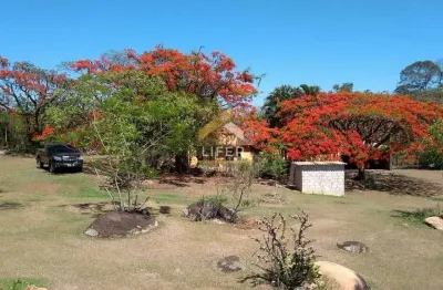 Fazenda à venda na romeu túllio, 1450, carlos gomes, campinas, 150 m2 por r$ 1.500.000