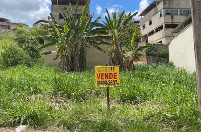 2 lotes planos juntos com frente muito interessante e possibilidade de serem vendidos juntos ou separados