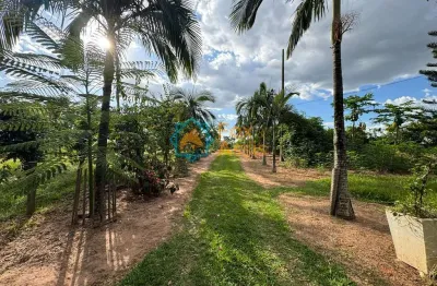 Fazenda com 3 salas à venda na Estrada Trezentos E Quarenta E Sete, Centro, Mogi Mirim