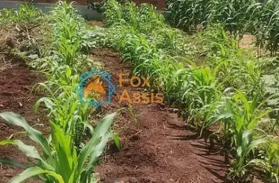 Terreno à venda na Avenida Gioconda Cibin, Jardim Terramérica I, Americana