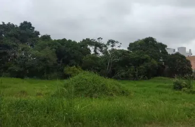 Terreno à venda na rua vereador jacob knabben da silva, 2222, pagani, palhoça, 6732 m2 por r$ 6.740.000