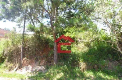 Terreno à venda, 600 m² por r$ 233.200,00 - colinas de são fernando - cotia/sp