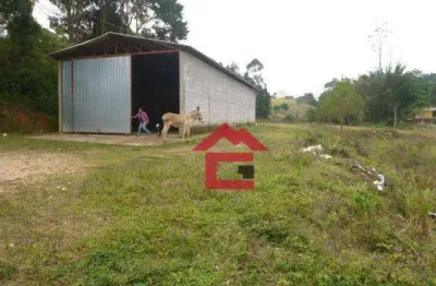 Galpão à venda, 200 m² por r$ 2.000.000,00 - altos de caucaia (caucaia do alto) - cotia/sp