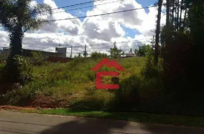 Terreno à venda, 1015 m² por r$ 390.000,00 - chácara represinha - cotia/sp