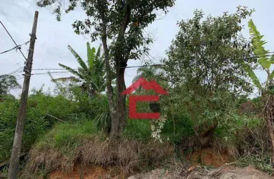 Terreno à venda, 1150 m² por r$ 300.000,00 - parque das rosas - cotia/sp