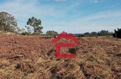 Área à venda, 38000 m² por r$ 1.600.000,00 - centro (canguera) - são roque/sp