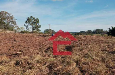 São roque - roteiro do vinho, área com 7.000 metros todo limpo e riacho nos fundos.