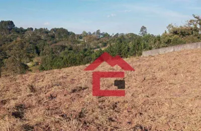 Terreno à venda, 7000 m² por r$ 780.000,00 - centro (canguera) - são roque/sp