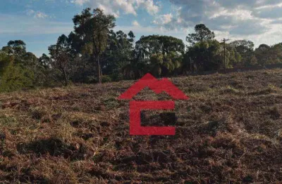 São roque - roteiro do vinho, área com 7.000 metros todo limpo e riacho nos fundos.