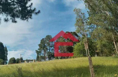 Terreno à venda, 2000 m² por r$ 180.000,00 - centro (canguera) - são roque/sp