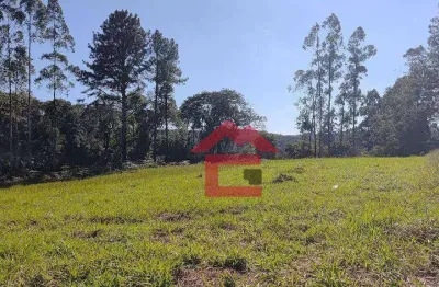 Terreno à venda na Rua Benedito Silvino de Camargo, Centro (Canguera), São Roque
