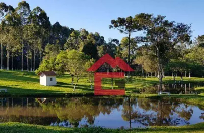 Área à venda, 169400 m² por r$ 1.350.000,00 - carmo messias - ibiúna/sp